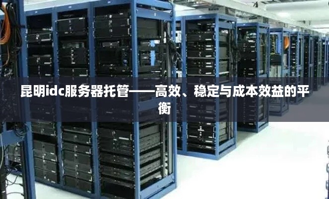 昆明idc服务器托管——高效、稳定与成本效益的平衡