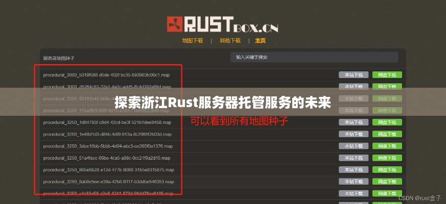 探索浙江Rust服务器托管服务的未来