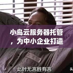 小鸟云服务器托管，为中小企业打造高效、灵活的云端解决方案