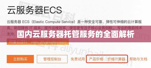 国内云服务器托管服务的全面解析