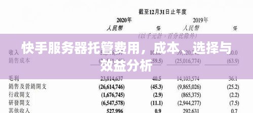 快手服务器托管费用，成本、选择与效益分析