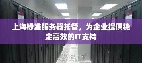 上海标准服务器托管，为企业提供稳定高效的IT支持