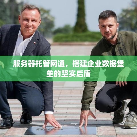 服务器托管网通，搭建企业数据堡垒的坚实后盾