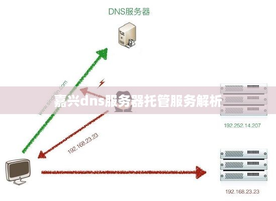 嘉兴dns服务器托管服务解析