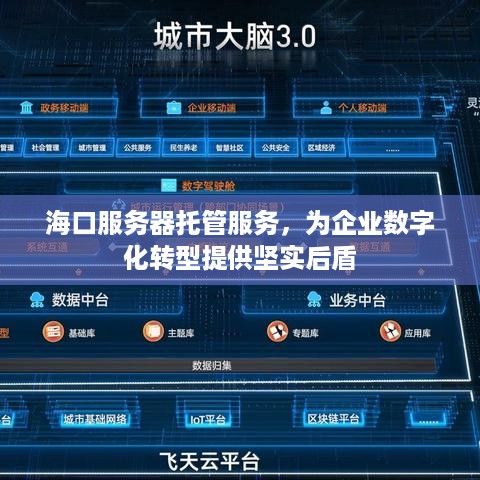 海口服务器托管服务，为企业数字化转型提供坚实后盾