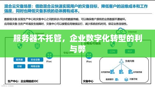 服务器不托管，企业数字化转型的利与弊