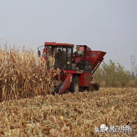 在数字时代中，太平服务器托管服务的意义与挑战