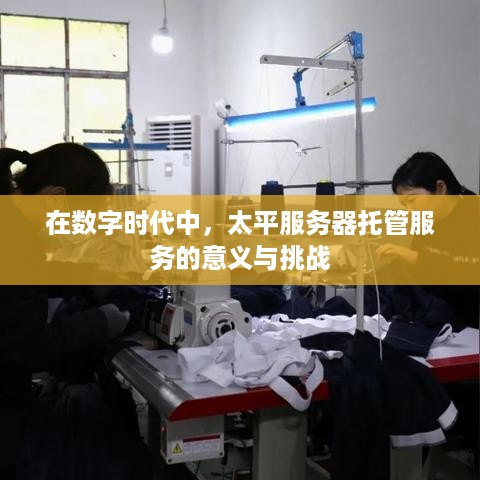 在数字时代中，太平服务器托管服务的意义与挑战