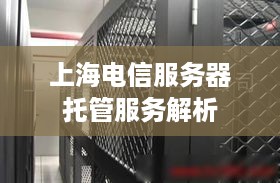 上海电信服务器托管服务解析