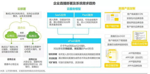 服务器托管费用低，企业成长的加速器