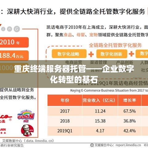 重庆终端服务器托管——企业数字化转型的基石