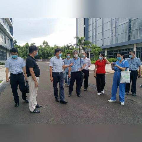 海南服务器托管平台，数据安全的港湾，企业成长的新动力