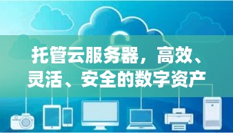 托管云服务器，高效、灵活、安全的数字资产管理