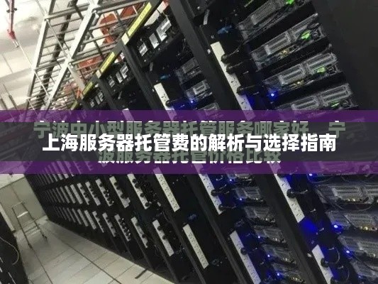 上海服务器托管费的解析与选择指南