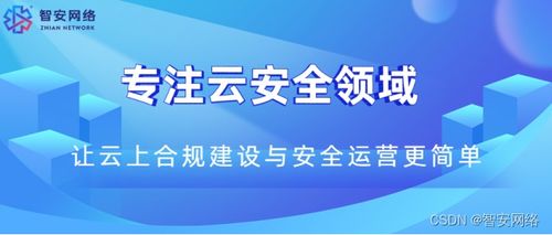 网站安全服务器托管，保障数字世界的稳定与安全