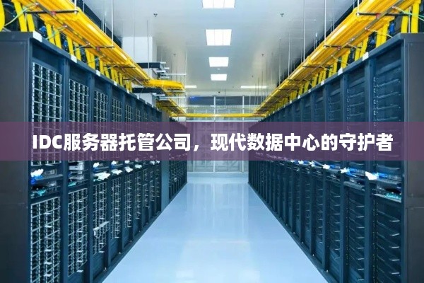 IDC服务器托管公司，现代数据中心的守护者