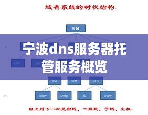 宁波dns服务器托管服务概览