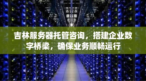 吉林服务器托管咨询，搭建企业数字桥梁，确保业务顺畅运行