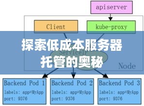 探索低成本服务器托管的奥秘