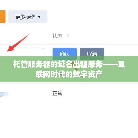 托管服务器的域名出租服务——互联网时代的数字资产
