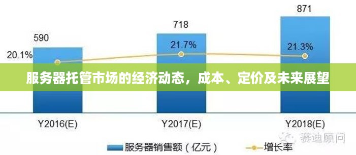 服务器托管市场的经济动态，成本、定价及未来展望