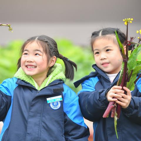 湖南服务器托管报价全解析