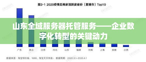 山东全域服务器托管服务——企业数字化转型的关键动力