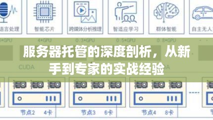 服务器托管的深度剖析，从新手到专家的实战经验