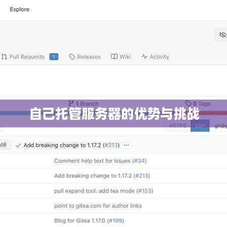 自己托管服务器的优势与挑战