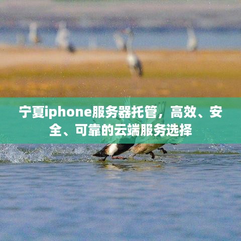 宁夏iphone服务器托管，高效、安全、可靠的云端服务选择