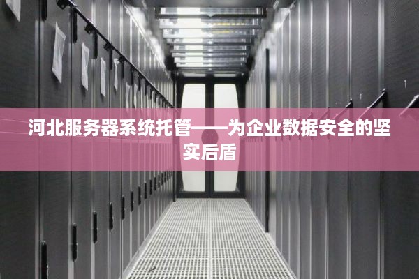 河北服务器系统托管——为企业数据安全的坚实后盾