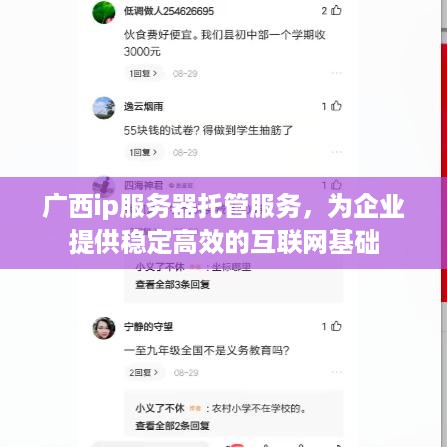 广西ip服务器托管服务，为企业提供稳定高效的互联网基础