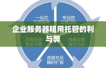 企业服务器租用托管的利与弊