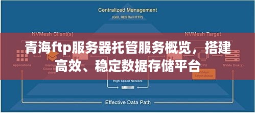 青海ftp服务器托管服务概览，搭建高效、稳定数据存储平台