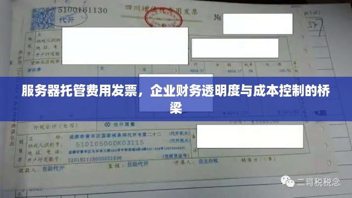 服务器托管费用发票，企业财务透明度与成本控制的桥梁