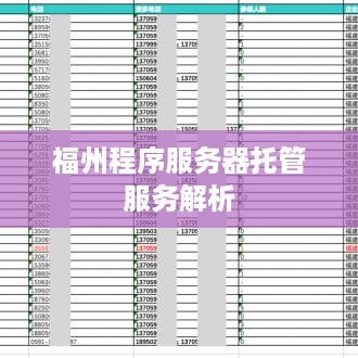 福州程序服务器托管服务解析