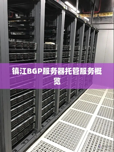 镇江BGP服务器托管服务概览