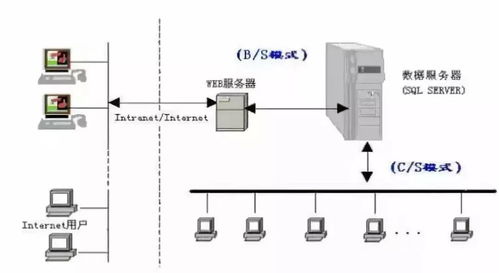 阳光互联服务器托管——搭建企业IT架构的坚实后盾