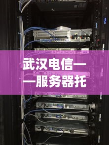 武汉电信——服务器托管的领航者