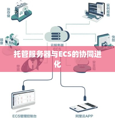 托管服务器与ECS的协同进化