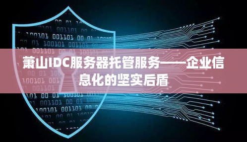 萧山IDC服务器托管服务——企业信息化的坚实后盾