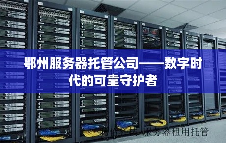 鄂州服务器托管公司——数字时代的可靠守护者