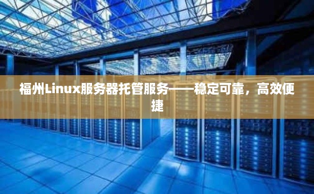 福州Linux服务器托管服务——稳定可靠，高效便捷