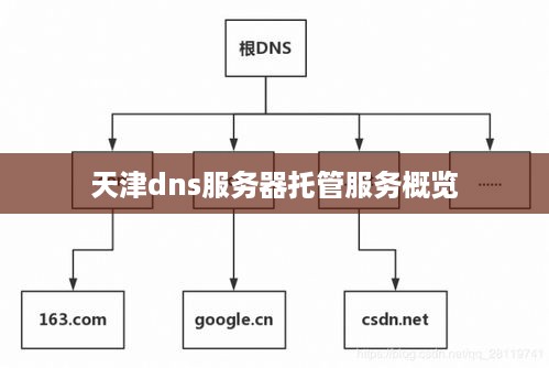 天津dns服务器托管服务概览