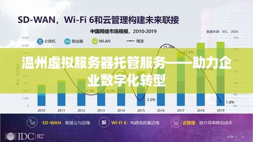 温州虚拟服务器托管服务——助力企业数字化转型