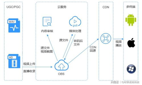 山东web服务器托管服务，稳定可靠，助力企业数字化转型