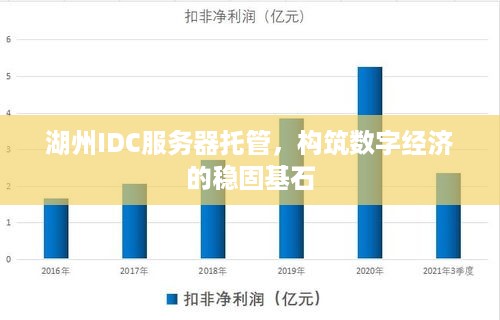 湖州IDC服务器托管，构筑数字经济的稳固基石