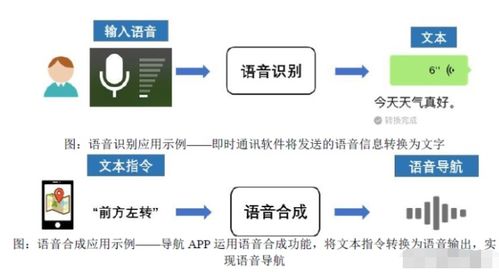 探索服务器托管定制服务的价格奥秘