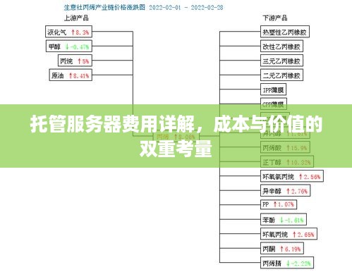 托管服务器费用详解，成本与价值的双重考量