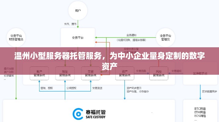 温州小型服务器托管服务，为中小企业量身定制的数字资产